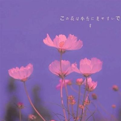 金年会体育app下载官网